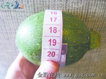 小瓜放冰箱自己长“胖” 专家称是正常现象