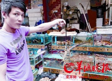 国产海鲜辐射监测谁来管？各部门都说管不着