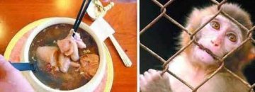 恐怖到变态：中国最残忍的八大著名禁菜
