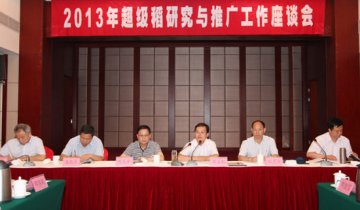 农业部在超级稻研究与推广上再求新突破
