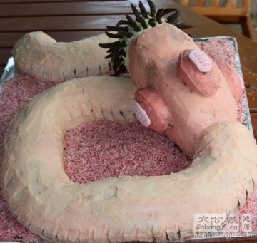 最逼真的重口味医学蛋糕