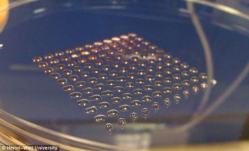 英科学家将利用胚胎干细胞3D打印人体器官