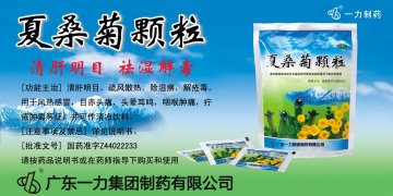 夏桑菊颗粒-官方高清创意广告(粤药广审(文)第2013090484号)