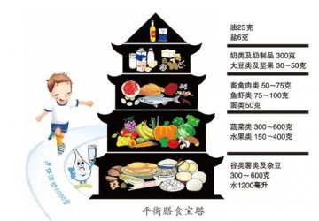 中小学生吃饭有了健康食谱