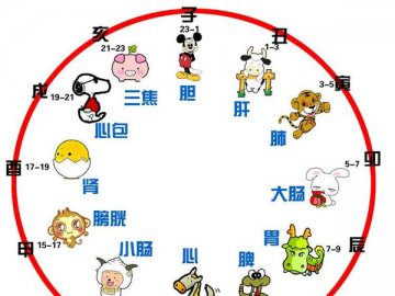 军医详解十二时辰如何养生（一）