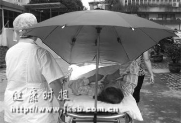 推车上的一朵“太阳花”