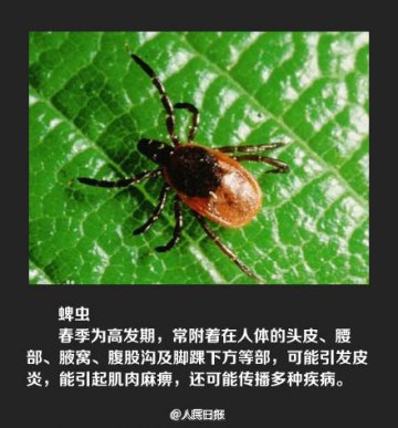五一出游不要乱坐草坪！小心“夺命蜱虫”！