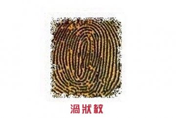指纹竟决定你的爱情