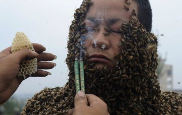 健康美图：探秘最古怪的世界记录