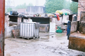 泔水猪窝点藏身玉米地 村民透露泔水油销路旺