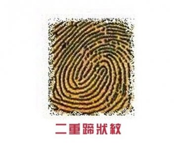 右手食指透露你的爱情秘密