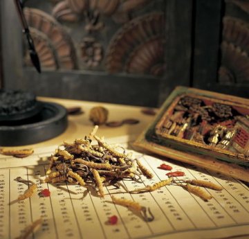 中经堂经络调理，养护一夏