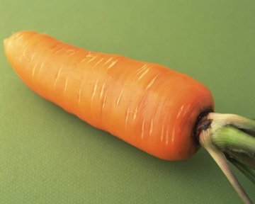 效果胜避孕药的6种食物