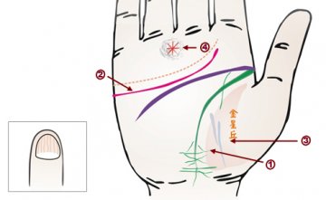 24种手相揭示疾病征兆