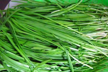 男性养生：九种最经典的“伟哥”替代食品