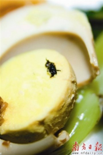 食品安全问题频现 监管缺失致商家“以身试险”