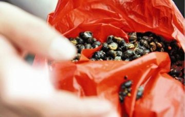 厦门剧毒织纹螺“招摇上市” 误食一颗即可致命