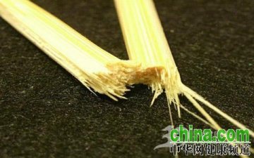 一次性筷子藏“毒”真相