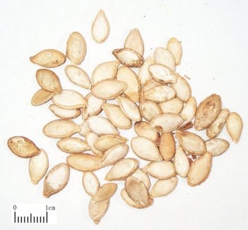 8大神奇食物能改变容貌