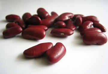 秋季身体最需要的5种滋补食物
