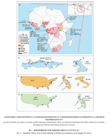 解读埃博拉出血热——传染病处发表两篇专业综述