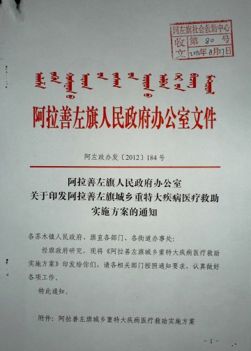 阿拉善左旗城乡重特大疾病医疗救助实施方案
