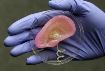 科研人员打造出3D打印仿生耳 可帮助病患恢复听力