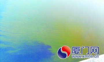 中山医院冲洗垃圾池 污水直排筼筜湖