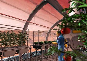 太空饮食问题多 NASA推荐十大太空种植食物