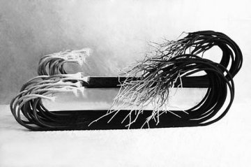 生物基化学纤维登场