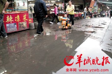 香港一女佣感染禽流感情况危殆 发病前曾到过深圳