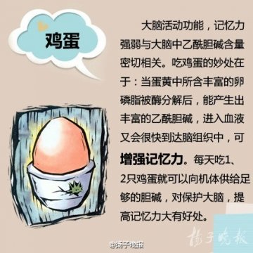 提高记忆力！8种食物堪比“脑黄金”