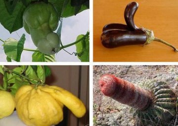 那些让你过目不忘的果蔬
