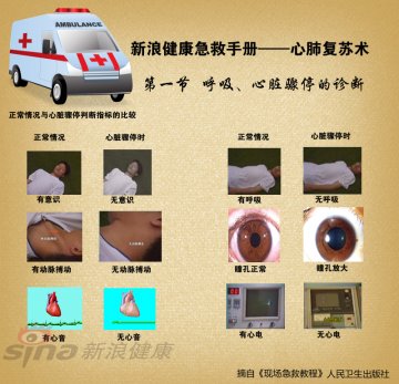 心肺复苏术03-正常情况与心脏