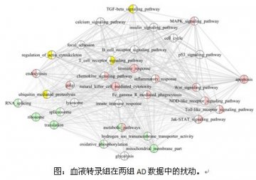 基因组所阿尔兹海默症血液转录组特征性扰动研究获进展