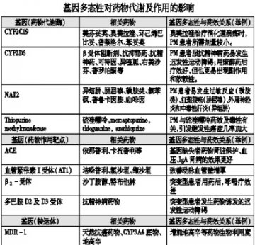药物基因组学与个体化治疗