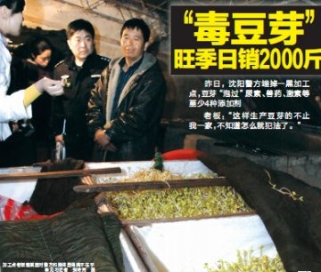 沈阳毒豆芽被掺入兽药 如何鉴别健康豆芽？