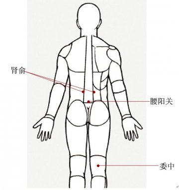 男女补肾壮阳穴位：多按可助性
