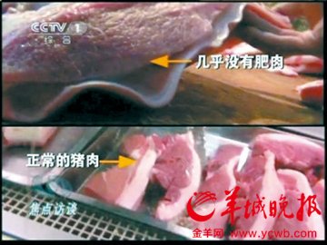 新型