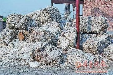 记者暗访造纸厂：卫生纸切块轧花变身餐巾纸