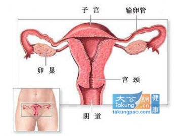 女性避孕：目击女人避孕全过程
