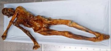 研究发现冰人奥茨死前曾吃大餐