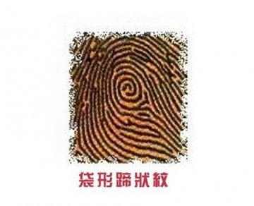 右手食指透露你的爱情秘密