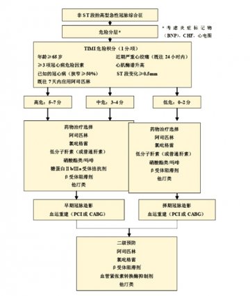 非ST段抬高型急性冠脉综合征治疗基石--药物“钝化”治疗