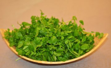 吸烟者应吃西洋菜，健康高营养