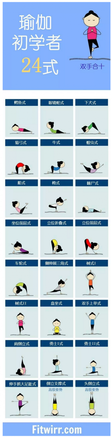 一图读懂：瑜伽初学者24式