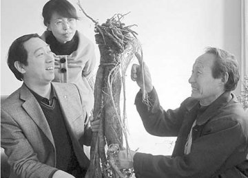 村民深山中发现10公斤重罕见苦参