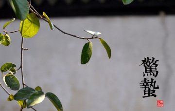 不同体质的人如何“惊蛰养生”
