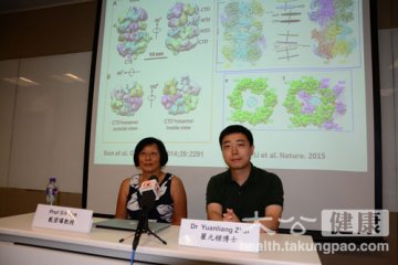 科大破解双链DNA助治癌