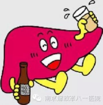 别让你的肝再受伤